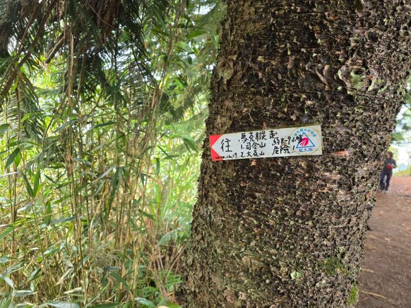 馬那邦山之雲海／雲瀑／楓紅／太陽琉璃光2676349