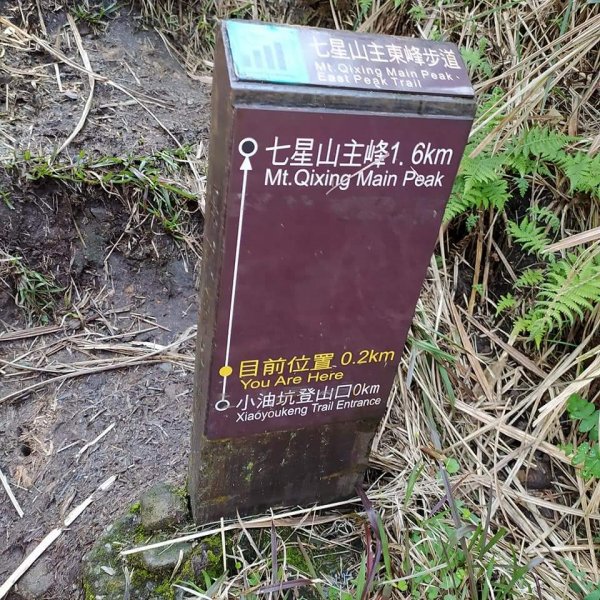 臺北大縱走第三段-小油坑到冷水坑1302044