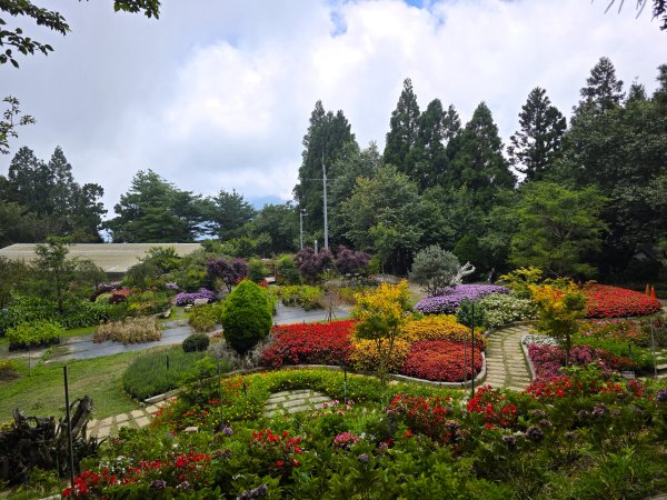 [皮皮獅探險隊-09/10] 2025_0816 野馬瞰山步道