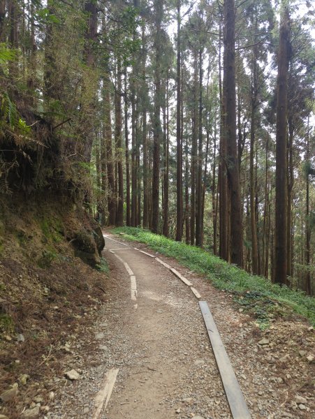 2026.02.14－特富野古道3013690