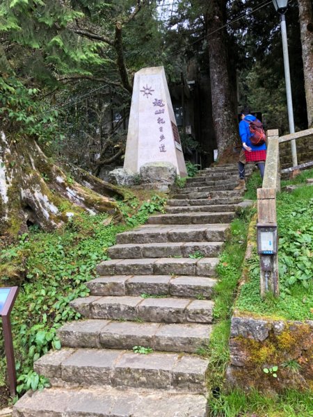 阿里山水山巨木、祝山觀日步道、對高岳步　727014