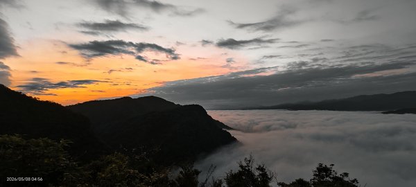 #翡翠水庫壩頂 #月亮 #日出 #雲海 #藍腹鷴母鳥 5/8&133050264