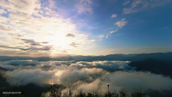 除夕寒流來襲的翡翠水庫雲海&天元宮寒櫻1/28封面