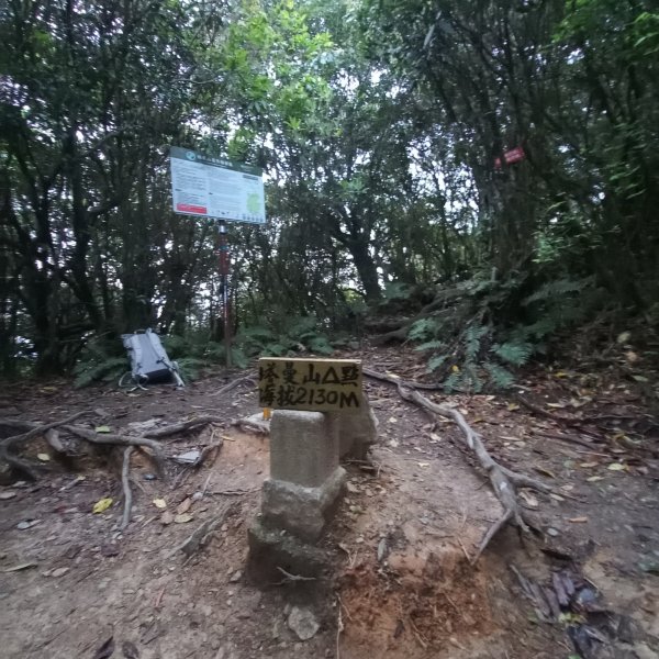 塔魔巴魔塔2698660