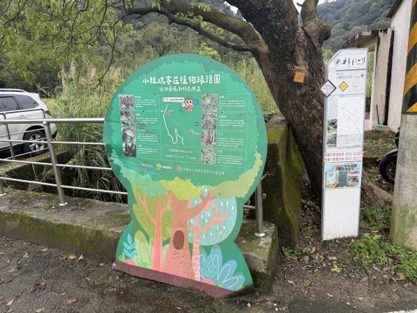 [樟之細路_第一大段RSA08] 2026_0328 小粗坑古道3025743