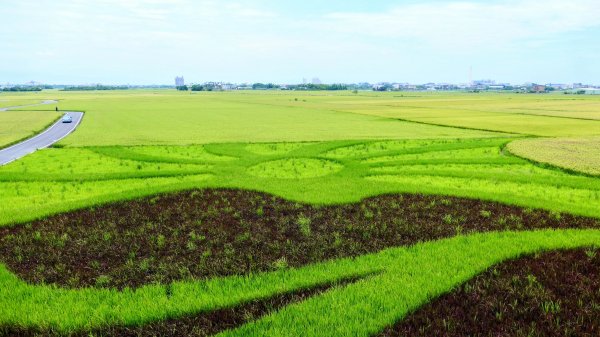 三奇美徑,52甲溼地2813338