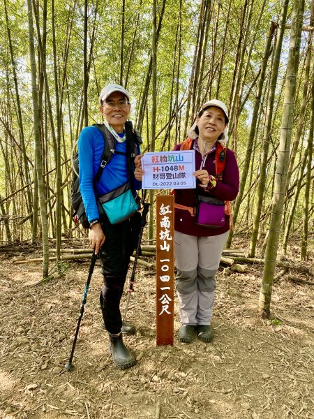 阿拔泉山稜線步道順走大巃頂獨立山O形    2022/3/51630999