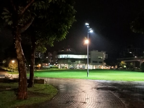 大湖公園《雨中夜行》1904715