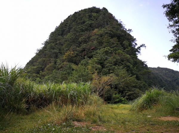 獅仔頭山@新店176822