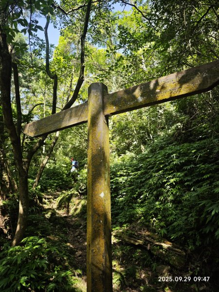 2025-0929 鹿堀坪古道2899433