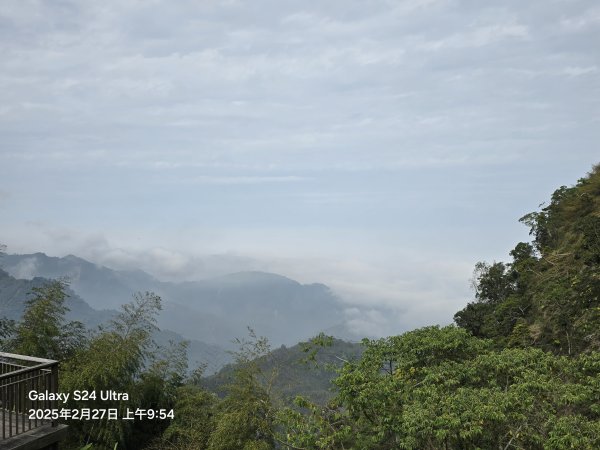 2025-02-27二延平步道2725405