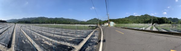 20251122高雄笠山-坦水衍山2945340