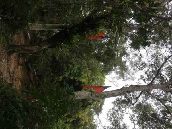 溪洲山2736209