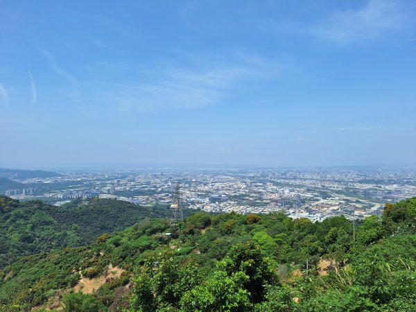 太平車籠山+貓頭鷹步道+番子路山+豬槽山202605023045792