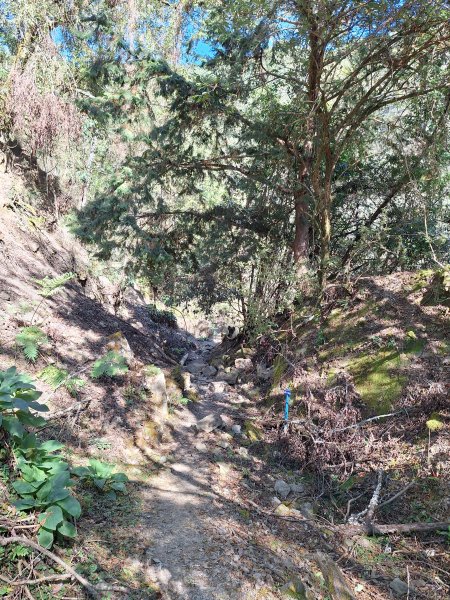 石山引水道202512112959554