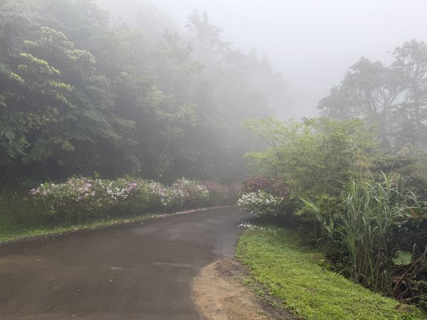 [微笑山線_第八段] 2026_0321 二格山系_二格山3020917
