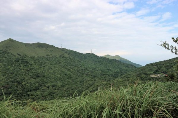 陽明山  菜公坑山 反經石   水車寮步道。林木蓊鬱  豐富的蕨類植披，絕佳避暑古道2174035