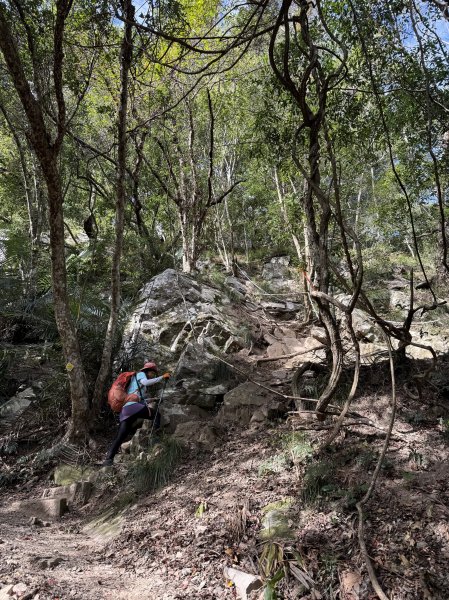 屋東縱走 202503012728979