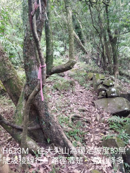 瑞泉古道上大尖山、下富士坪第三草原1760112