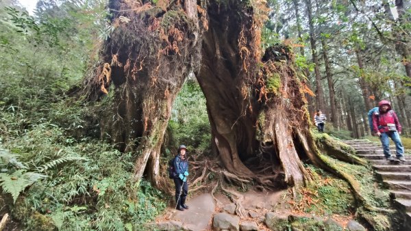 神阿縱走~台灣難抵極~大塔山2971511