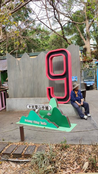大坑9上9-1下3031324