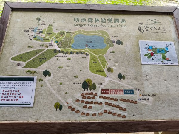 明池森林遊樂區202511152936662
