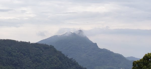 2025/07/27_梅后蔓瀑布+梅后蔓步道2846749