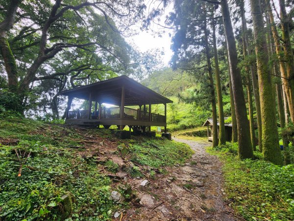 20250719頂湖上大凍山2907132