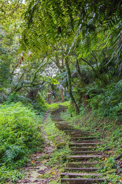 [新北]土庫岳更寮古道2575846