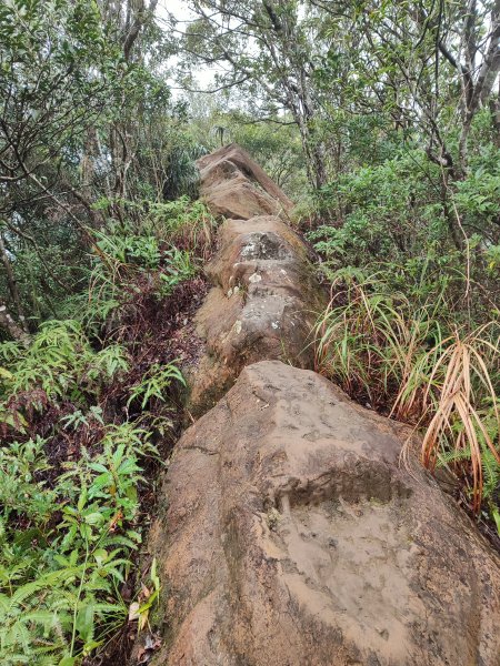 微笑山線：【二格山系】皇帝殿稜線段2955976