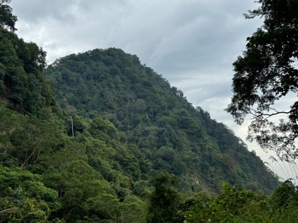 台中市太平區小百岳NO.44暗影山（3-4181）（北稜登山口）2356559