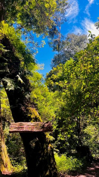 🌈8/16（六）遠的要命的王國~鎮西堡B區神木巡禮✨FB：熊熊趴爬走🌈2861638