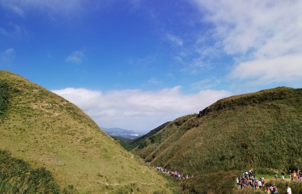 ~  古道秋芒 - 草嶺古道  ~741028