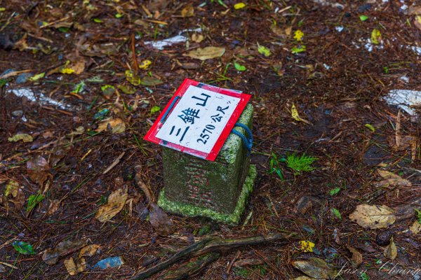 [百岳]中橫特辣白姑大山2625464