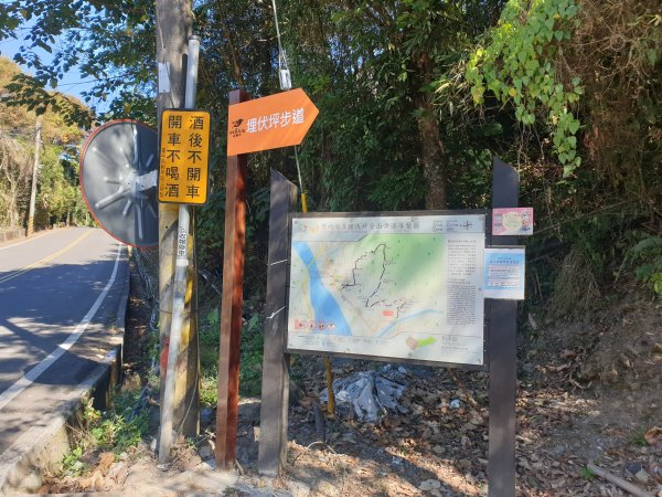 埋伏坪步道與雙崎山