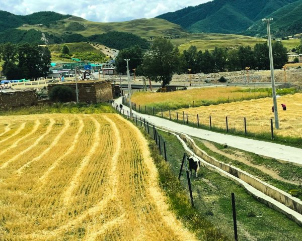 川藏深度之旅33天/A行程2901286