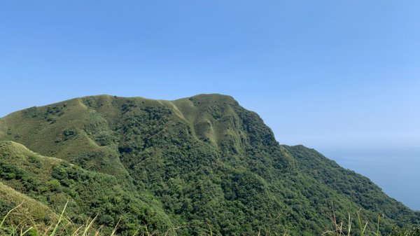 桃源谷步道-灣坑頭山（小百岳）-草嶺古道1867314