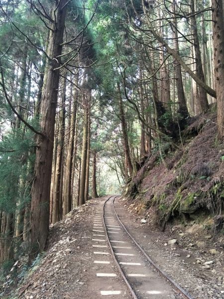 2018.03.17 郡大山麟趾山特富野290690