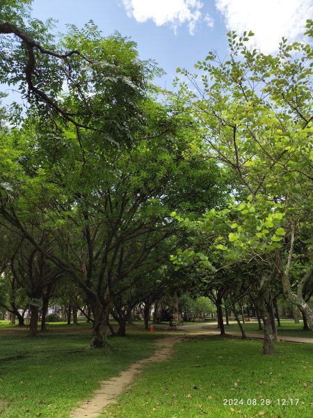 大安森林公園、港墘公園、大港墘公園【走路趣尋寶】【臺北健走趣】2582384