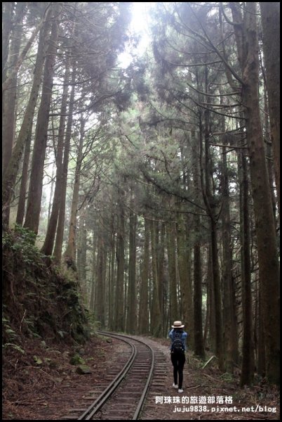 消失的阿里山眠月線802026