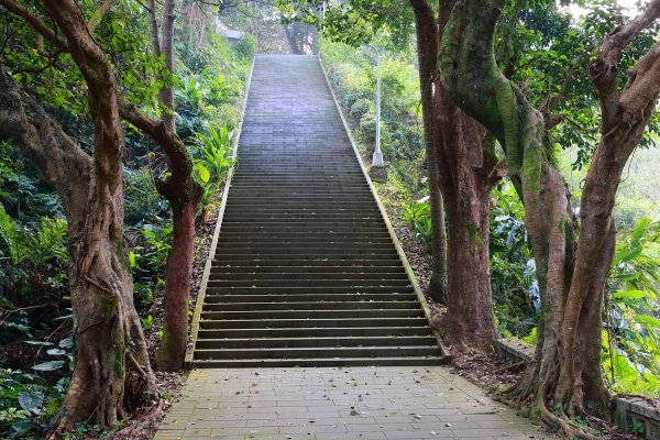 猴山岳。二格山。小獅山連走616082