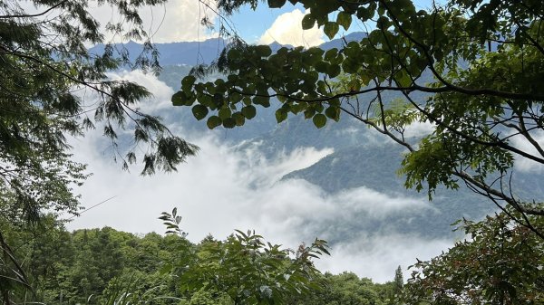 大板根+北坑山+東洗水山2551689