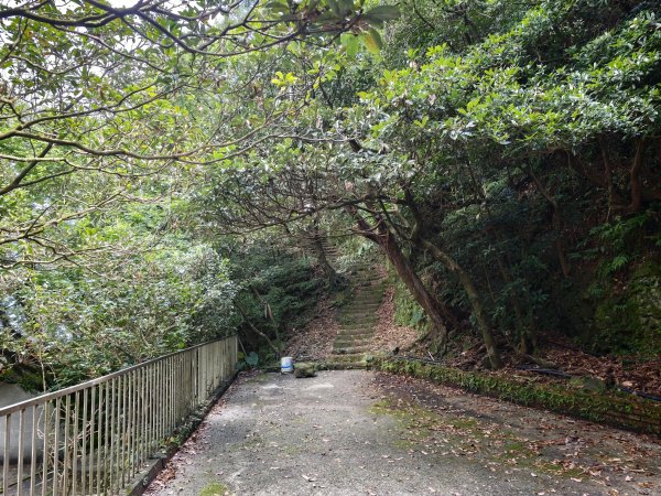 [淡蘭古道] 2026_0531 北路第一段_樹梅坪古道3070641