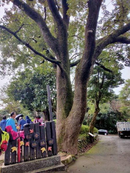 橫嶺古道 湖山國小步道1194199