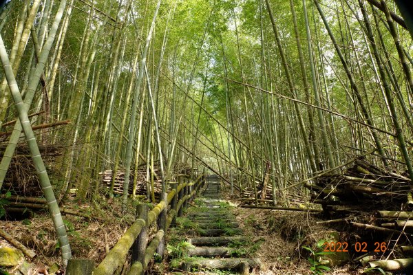 嘉義 阿里山 卓武山1623085