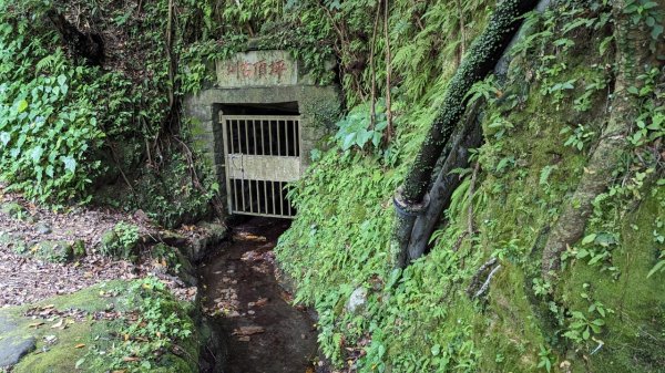 112.04.29走遍陽明山尋寶任務之坪頂古圳步道2137397