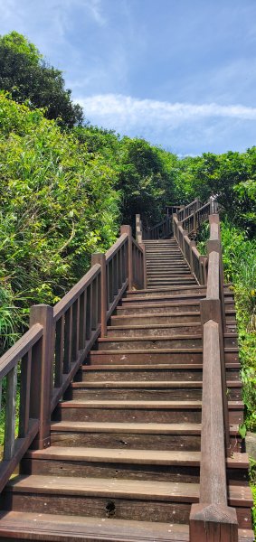 2024-04-20南子吝登山步道2484614