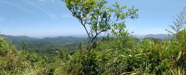 貢寮區慈南寺-九份坑山-文秀坑產道去回3064781
