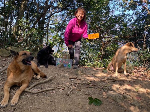 苗栗金童山、玉女山、汶水山2672899