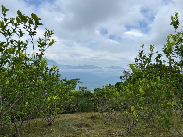 2022-06-14 月眉山（小百岳、南進南出）1735666